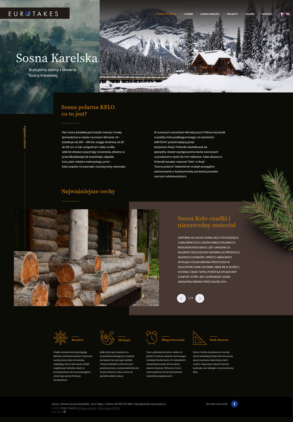 strony internetowe lublin