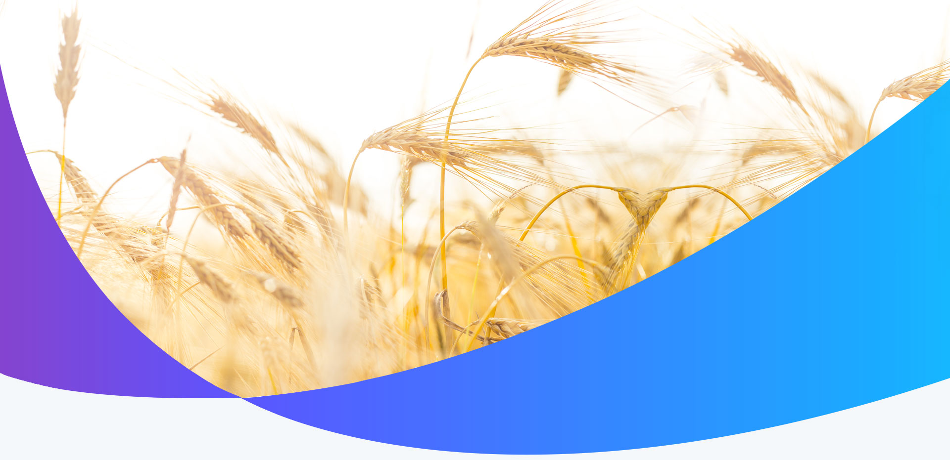 strony internetowe lublin