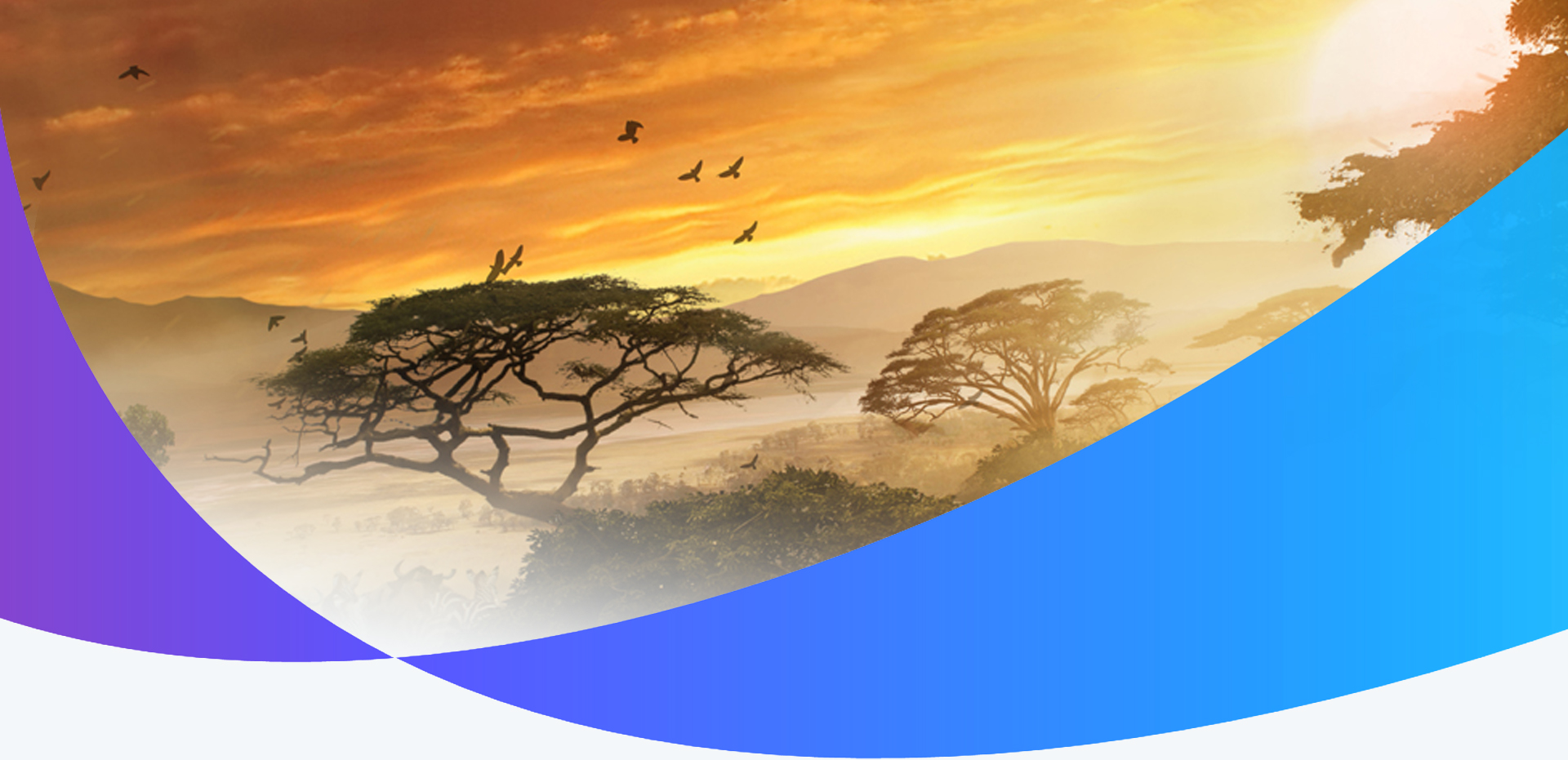 strony internetowe lublin