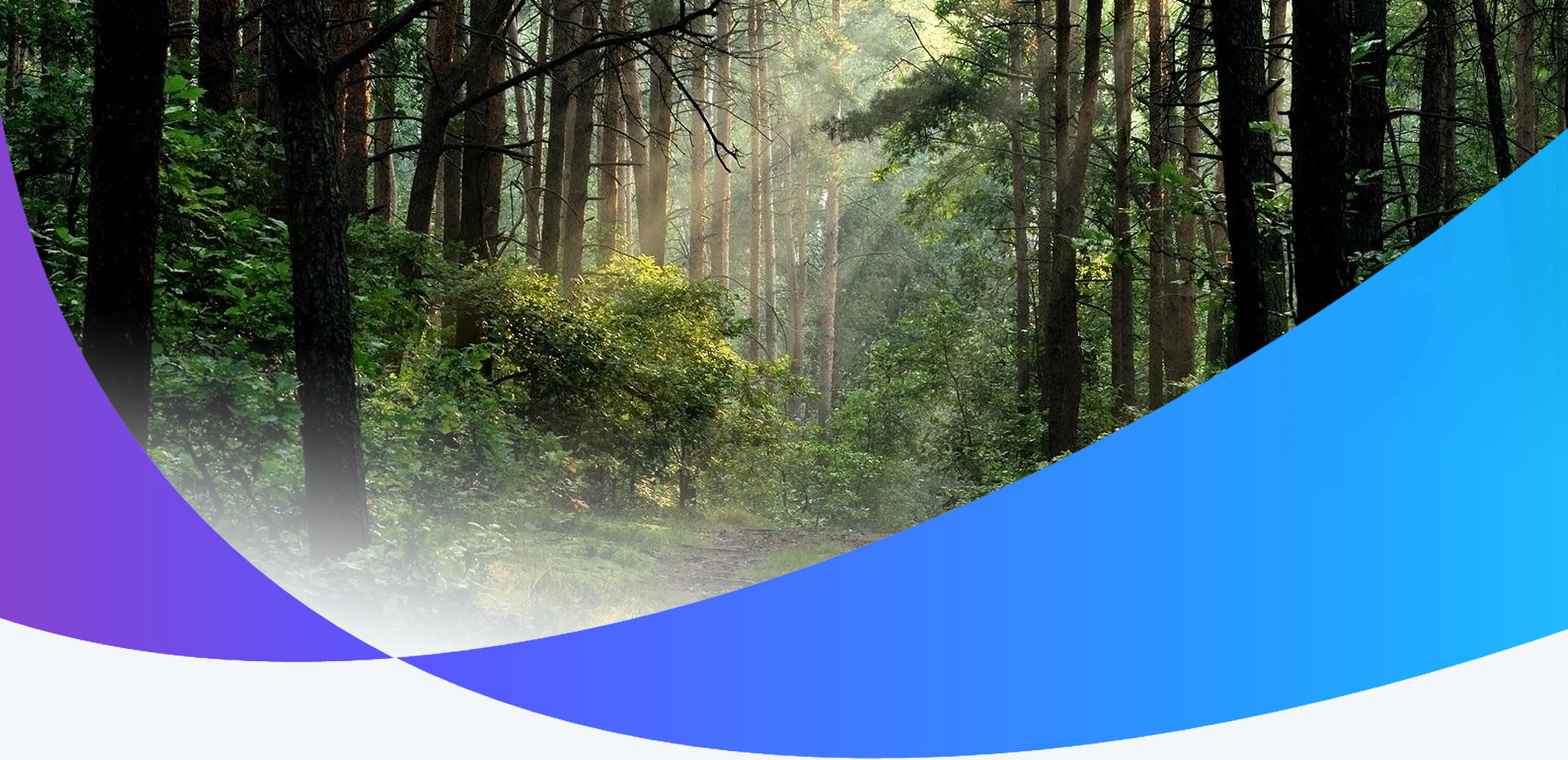 strony internetowe lublin