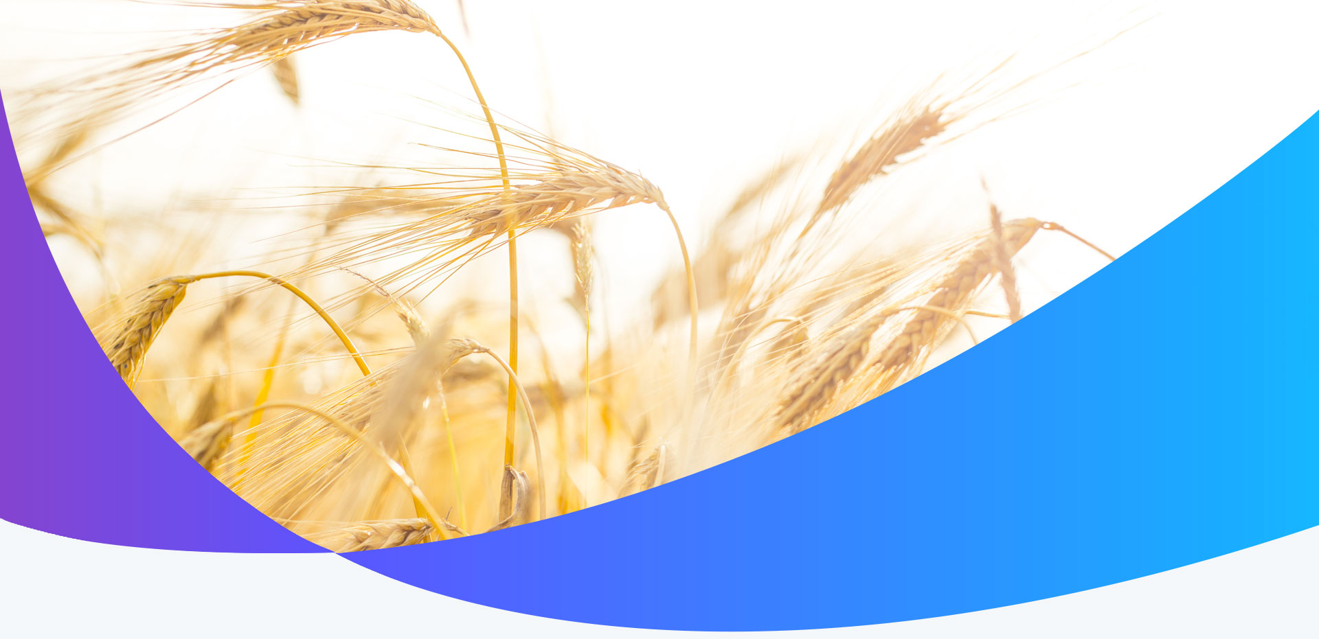 strony internetowe lublin